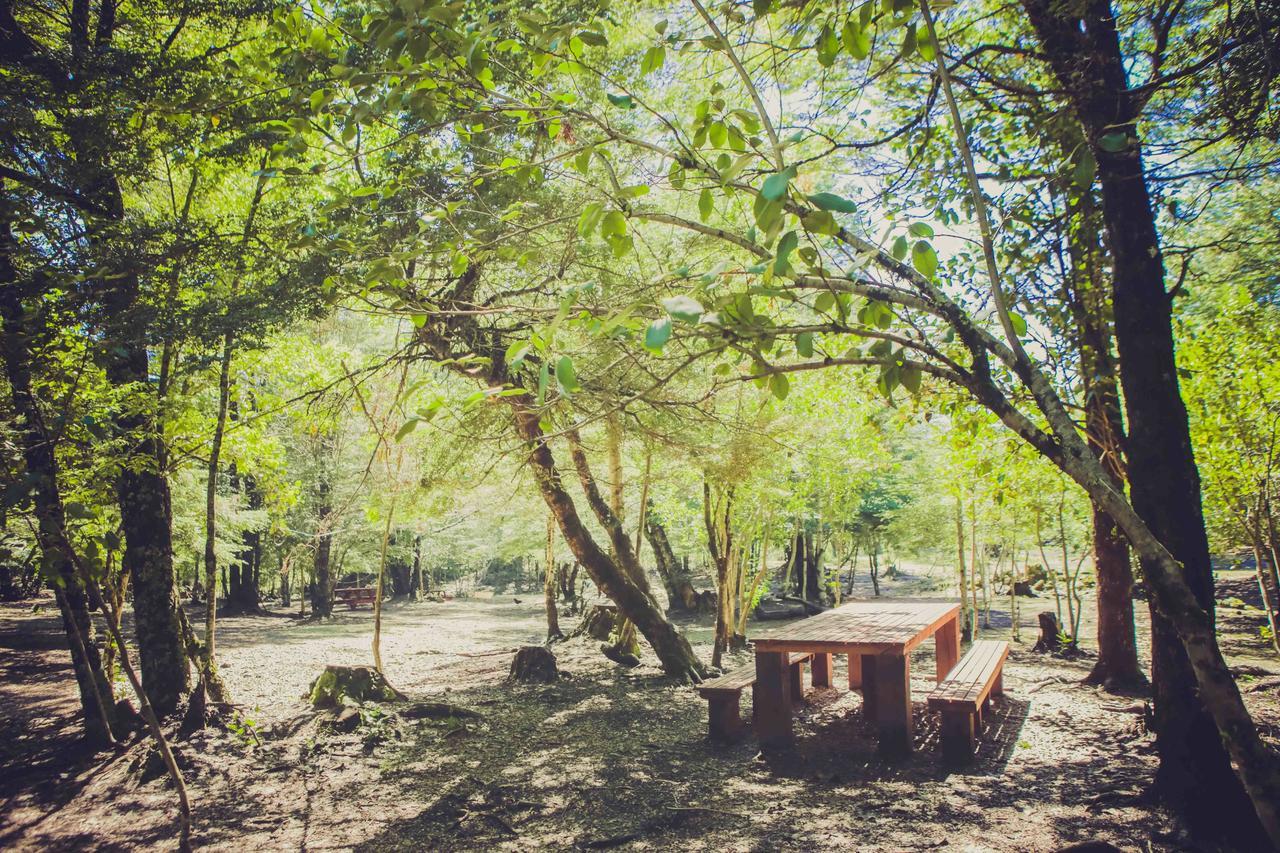 Vila Llaima Camp Curacautín Exteriér fotografie
