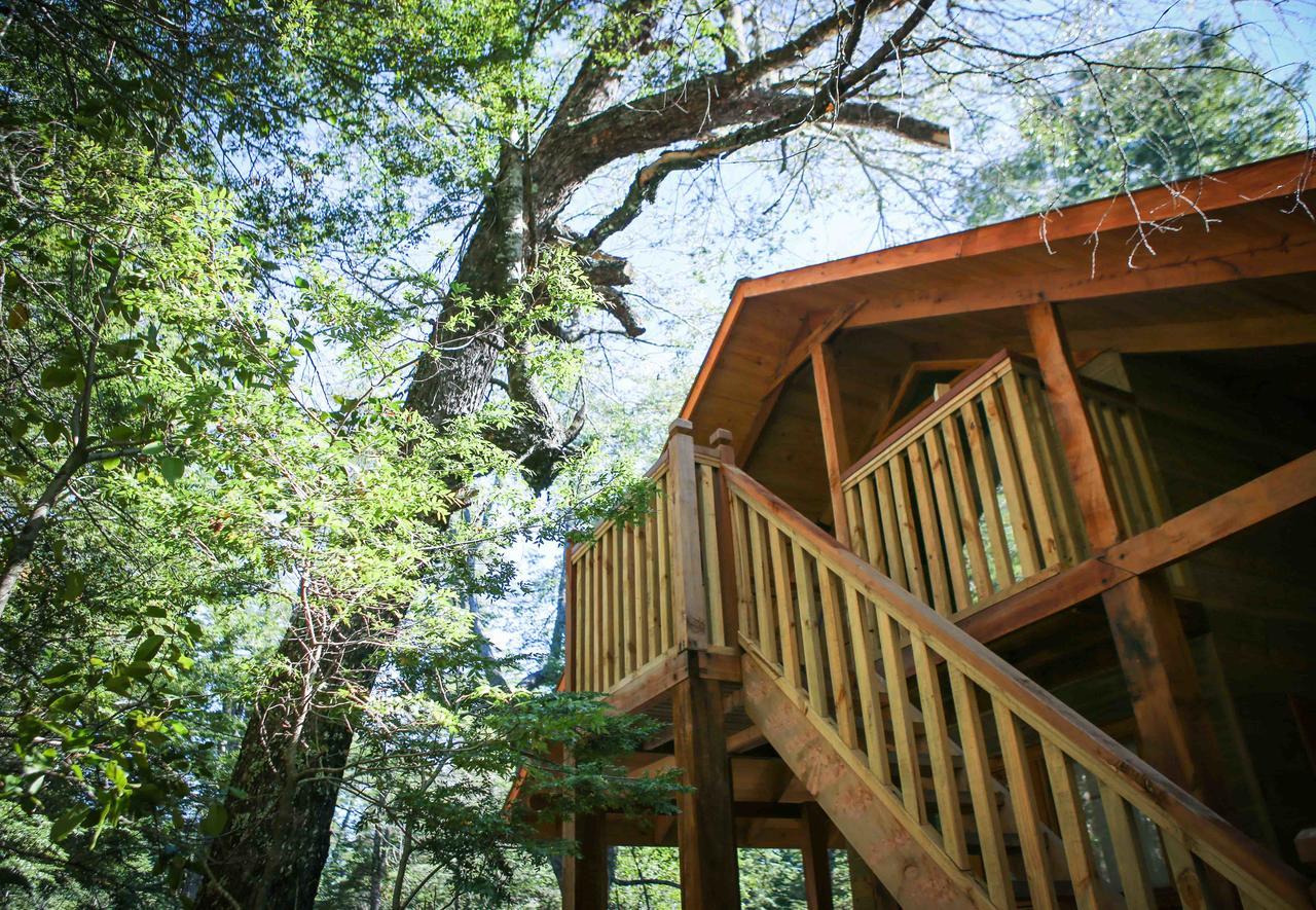Vila Llaima Camp Curacautín Exteriér fotografie