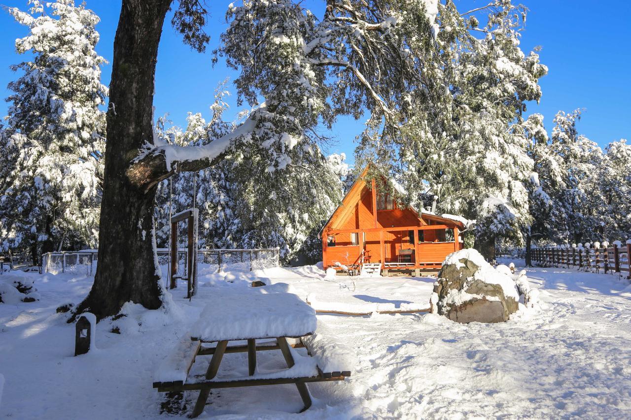 Vila Llaima Camp Curacautín Exteriér fotografie