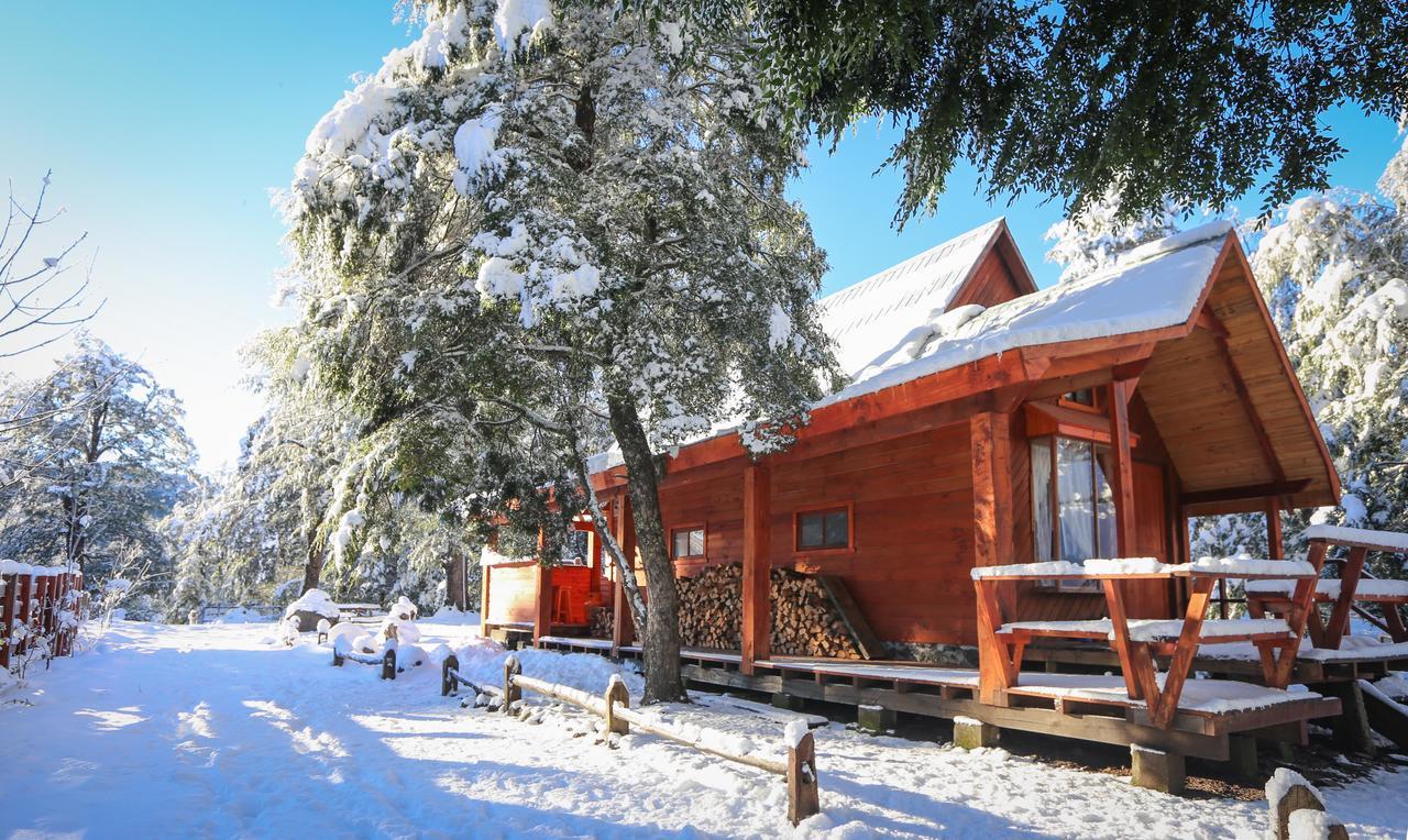 Vila Llaima Camp Curacautín Exteriér fotografie
