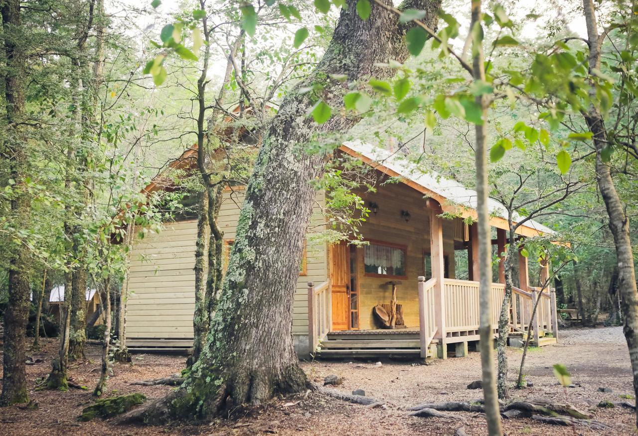 Vila Llaima Camp Curacautín Exteriér fotografie