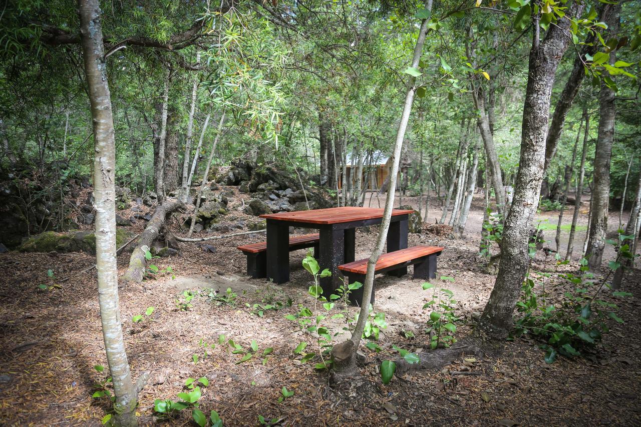 Vila Llaima Camp Curacautín Exteriér fotografie