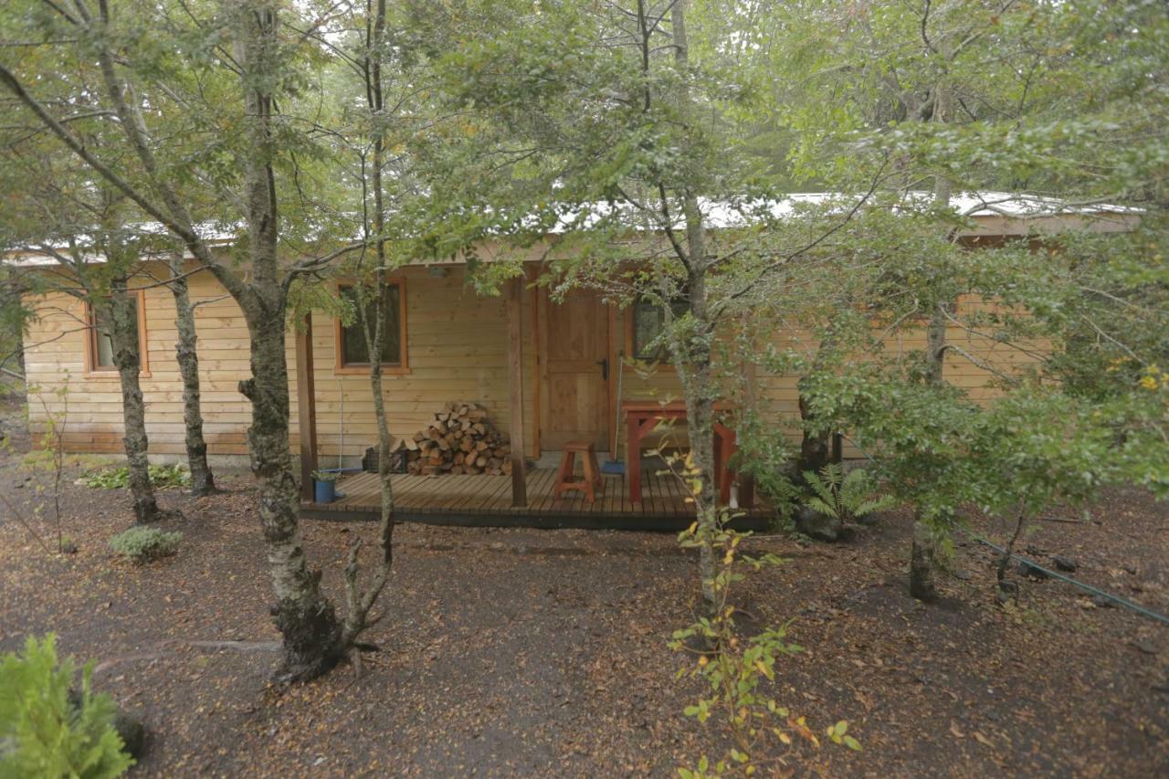Vila Llaima Camp Curacautín Exteriér fotografie