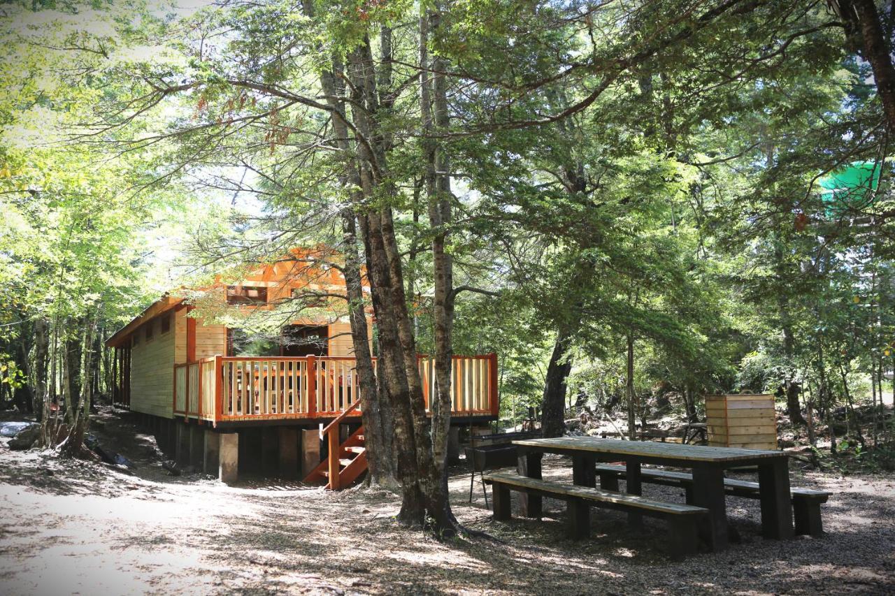 Vila Llaima Camp Curacautín Exteriér fotografie